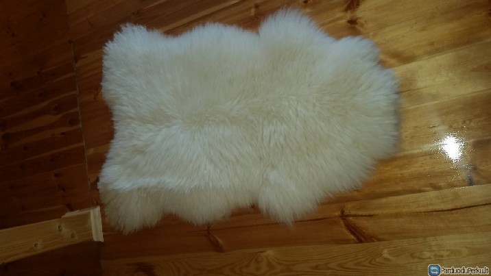 Naturalus avies kailis is Tatru kalnu