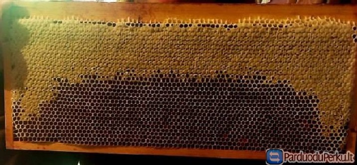 2016m. medus - 4eur/kg