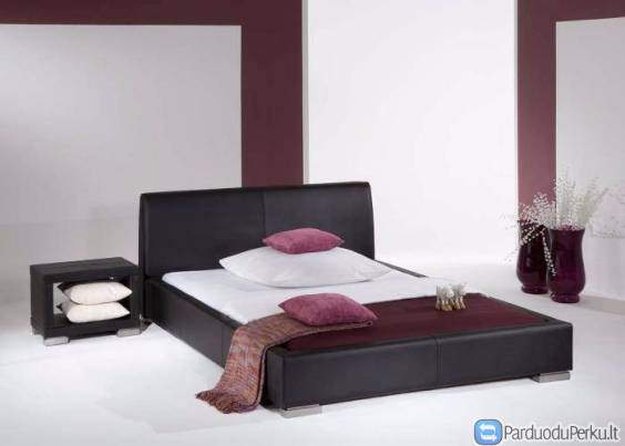 Nauja lova iš natūralios odos 160x200cm.