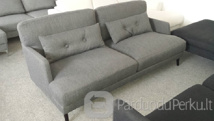 Naujas dvivietis fotelis Dizon