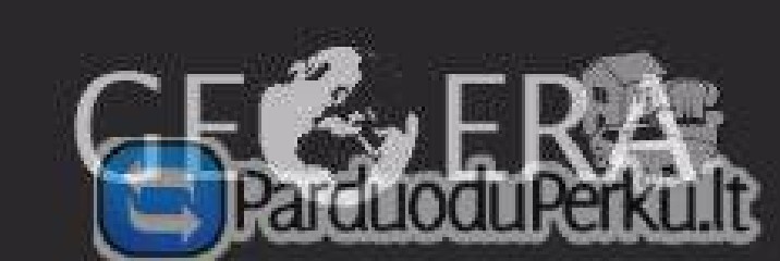 Nebrangūs geodeziniai matavimai