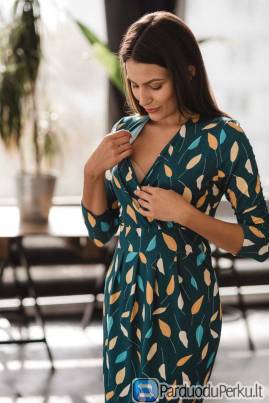 Nėštukių pasaulis