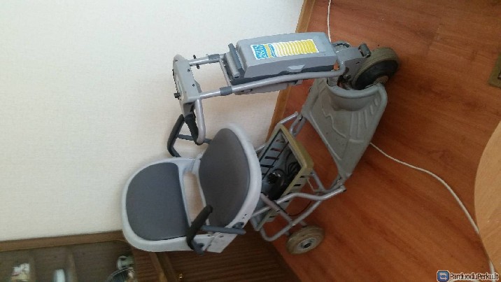 Neygaliuju vezimelis elektrinis