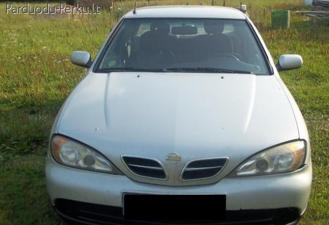 nissan primera dalys