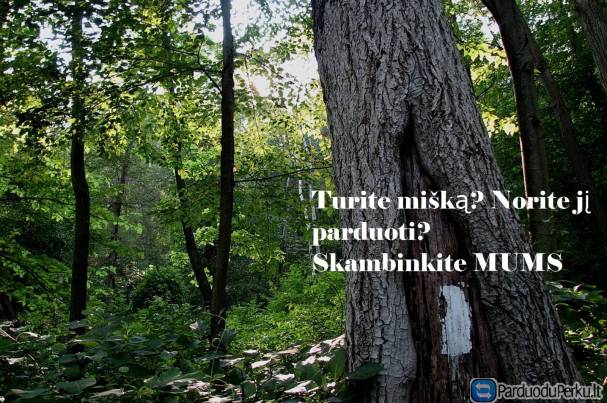 Norime nupirkti Jūsų mišką