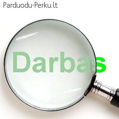 NT vadybininkas (-ė)