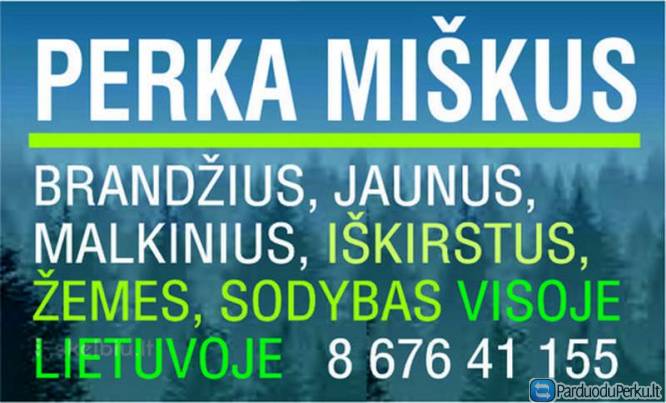 Nuolatos perkame miškus