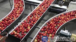 OBUOLIU IR KITU VAISIU PAKAVIMAS VOKIETIJOJE