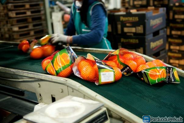 OBUOLIU PAKAVIMAS NETOLI HAMBURGO