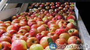 OBUOLIU PAKAVIMAS NETOLI HAMBURGO