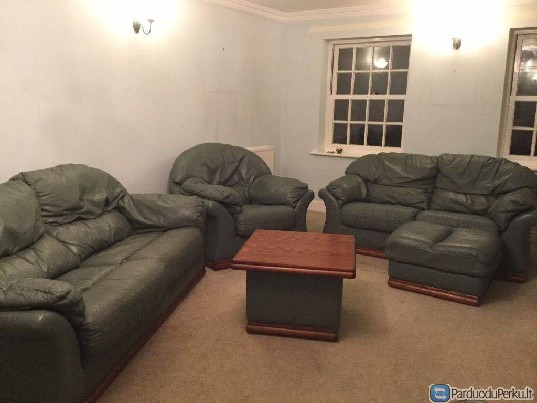 Odinis, labai geros kokybės baldų komplektas Devėt