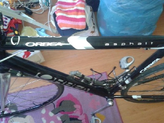 Orbea asphalt