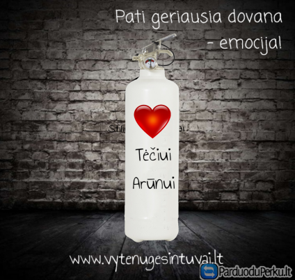 Originalios dovanos. Dovanos namams, įkurtuvių dovanos