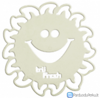 Oro gaiviklis "Bambuko - citrinų"