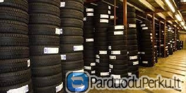 Padangos Vasara / Žiema