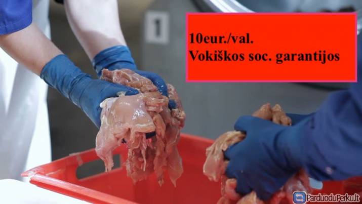 Pakavimo fabrikas Vokietijoje 10eur./val.