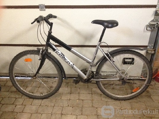 Paleos Dviratis geram stovi