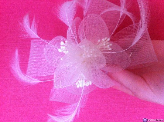 Papuošalas plaukams