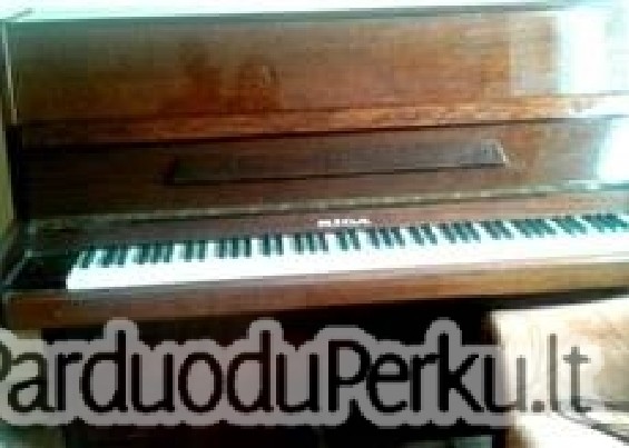 pardiuodu pionina naudota