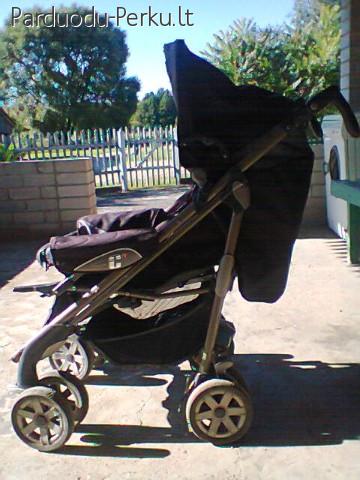 Pardudu  vezima chicco