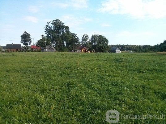 Parduodama sodyba Merkinės sen. k.