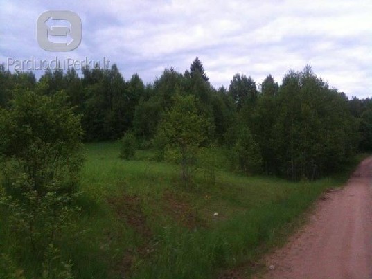 Parduodama sodybvietė prie Tauragnų