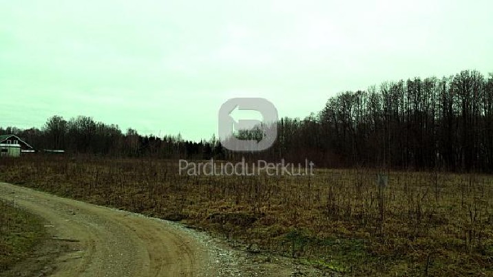 PARDUODAMAS 1 HEKTARO ZEMES SKLYPAS