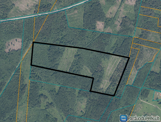 Parduodamas 18,8656 ha miško ūkio paskirties sklypas PANEVĖŽIO R. SAV., RAMYGALOS SEN., GIRELĖS VS.