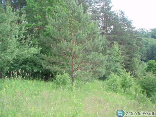 Parduodamas 73 a sklypas