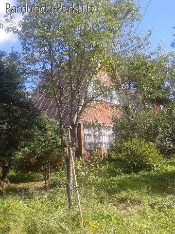 Parduodamas 8,5 a sodo sklypas su namu ir garažu