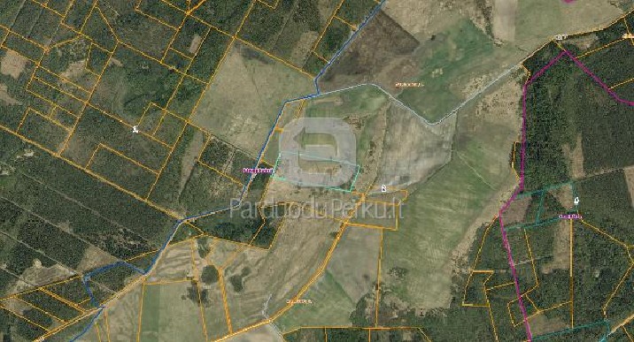 Parduodamas 9,5 ha sklypas Raseinių r.