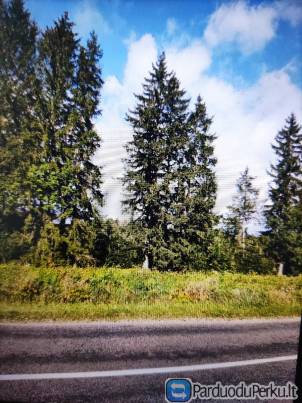 Parduodamas 92 a žemės sklypas Vilniaus raj.