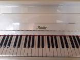 Parduodamas baltas pianinas Rosler, 3 pedalai