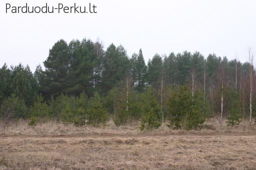 Parduodamas žemės sklypas