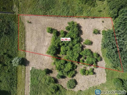 Parduodamas labai pigiai 36,98 a žemės sklypas šalia Šiaulių aplinkelio