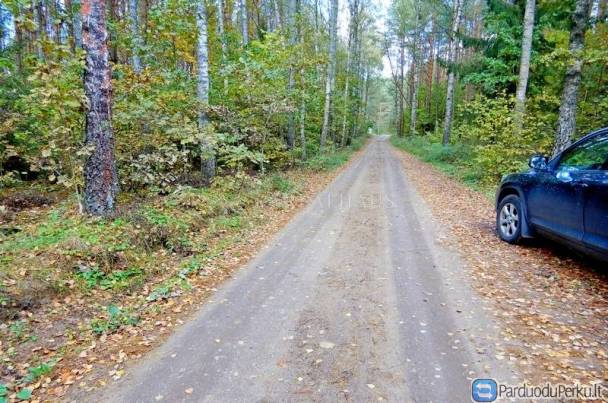 Parduodamas Miškas Širvintų r. Ardiškis