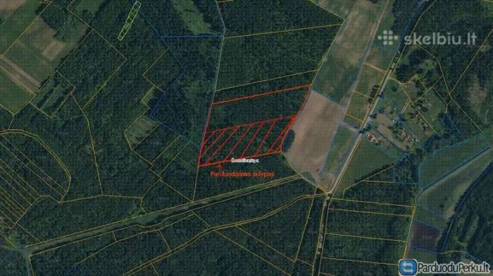 Parduodamas miškas su žeme