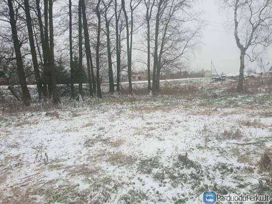 Parduodamas namų valdos sklypas, Senojo Tarpupio k