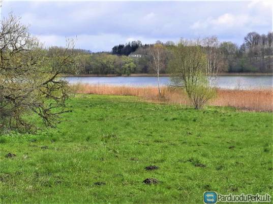 PARDUODAMAS NAMAS VINIAUS R., DŪKŠTU SEN., ALIJŪNŲ KAIME.