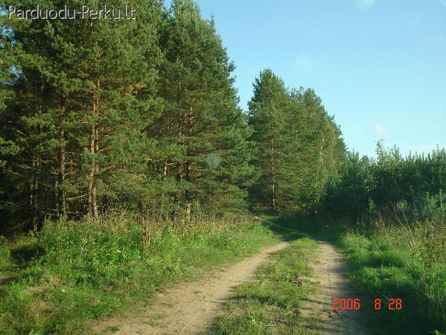 parduodamas sklypas 2,05ha Molėtų r. sav., Naraginės k.