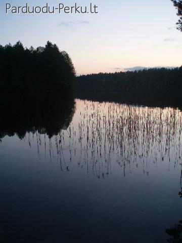 Parduodamas sklypas su ežero pakrante (miškas)