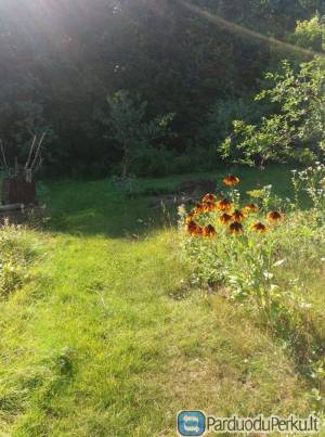 Parduodamas sodas Derceklių k. (S/B bendrija) 6a