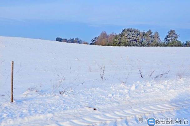 Parduodamas žemės sklypas 68 arų Tarakonių kaime