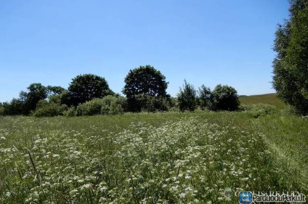 Parduodamas Žemės sklypas Širvintų r. Bartkuškis