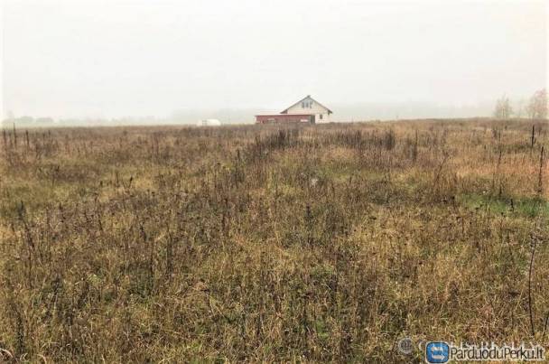 25 a.namų valdos žemės sklypas Dainių k.