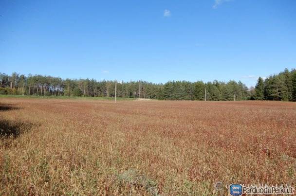 Parduodamas Žemės sklypas Trakų r. Markutiškės