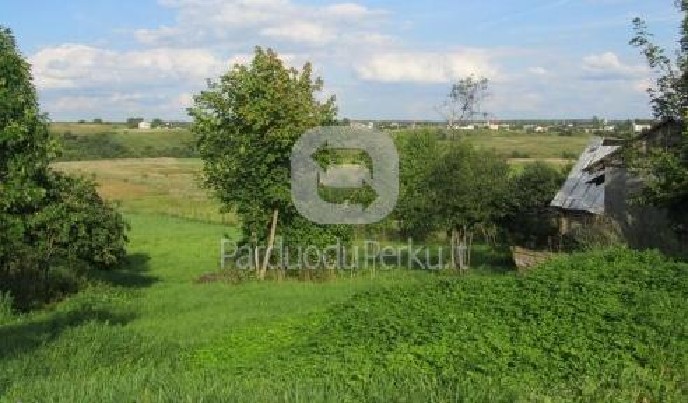 Parduodami du žemės sklypai kartu arba po vieną, Paneriuose,