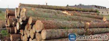 Parduodami eglės sieniniai rastai