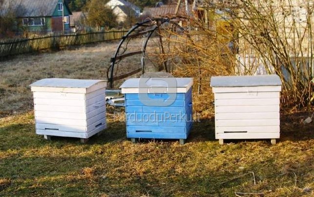 Parduodami nauji dadano aviliai