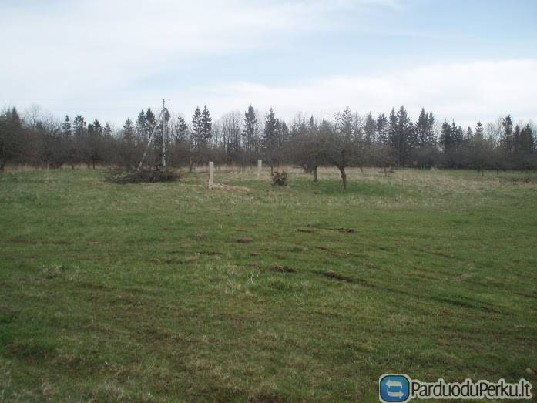 Parduodami sklypai Priekuleje